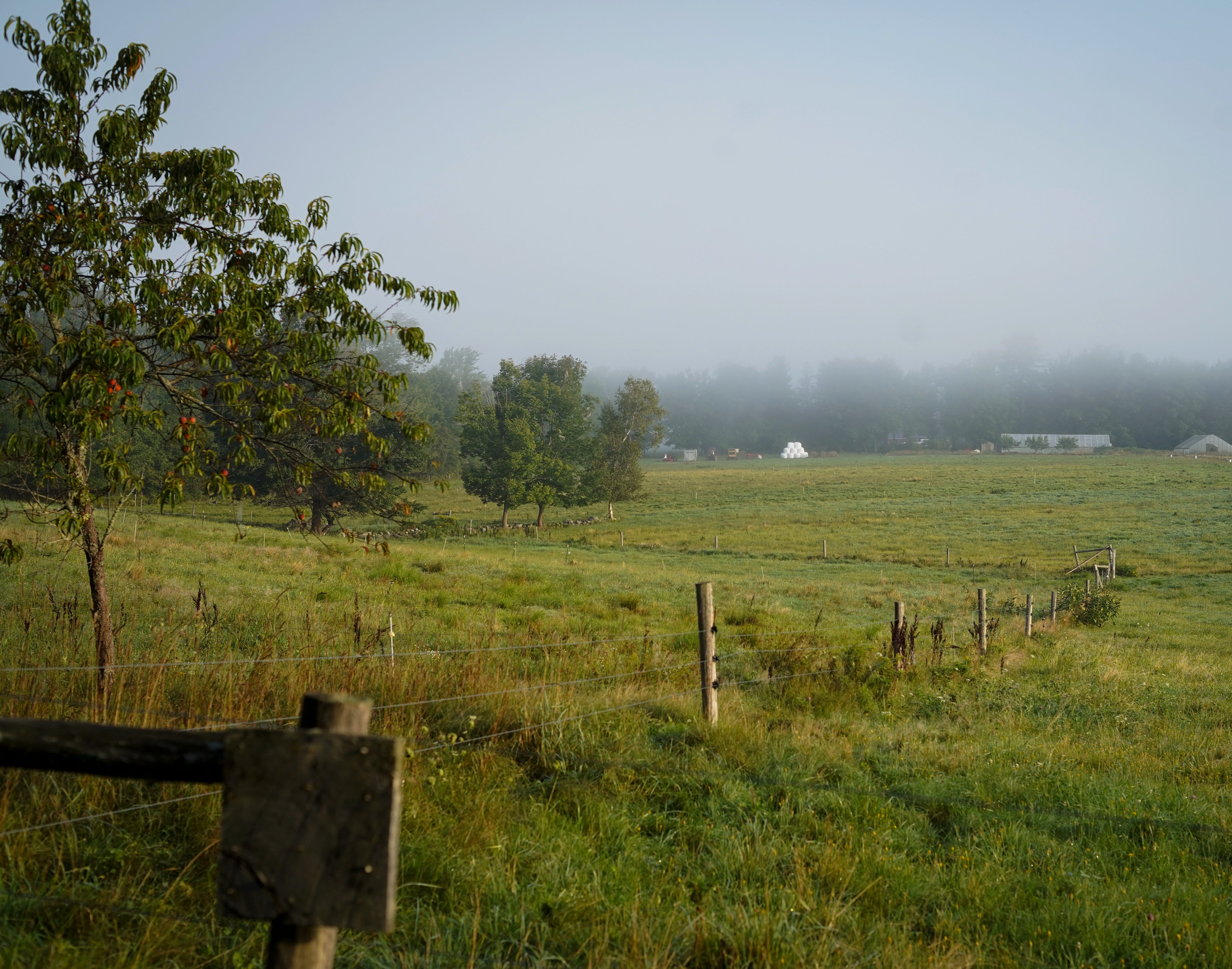 Idyllic Farmstead Scene