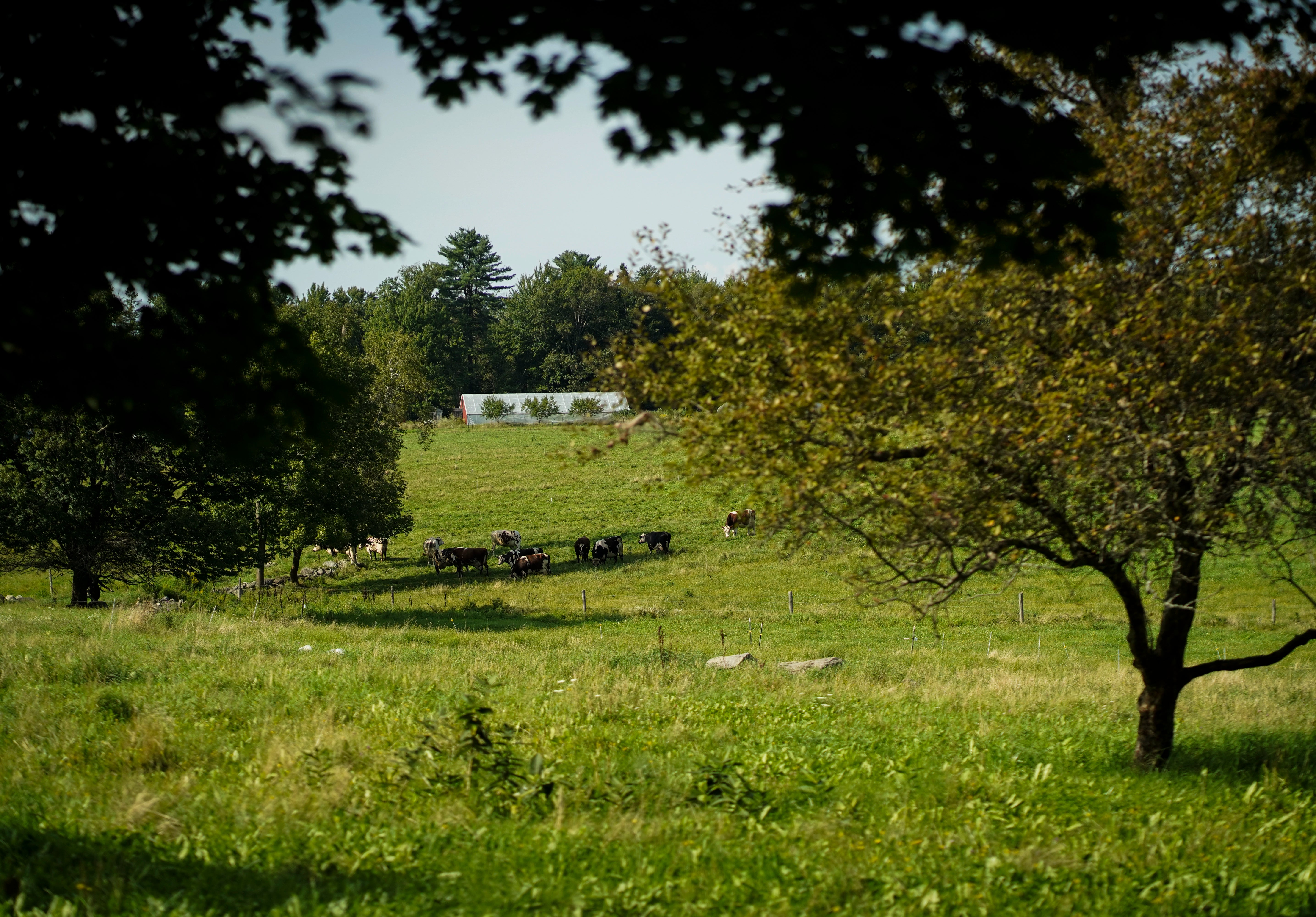 100 acre organic farmstead and dairy creamery