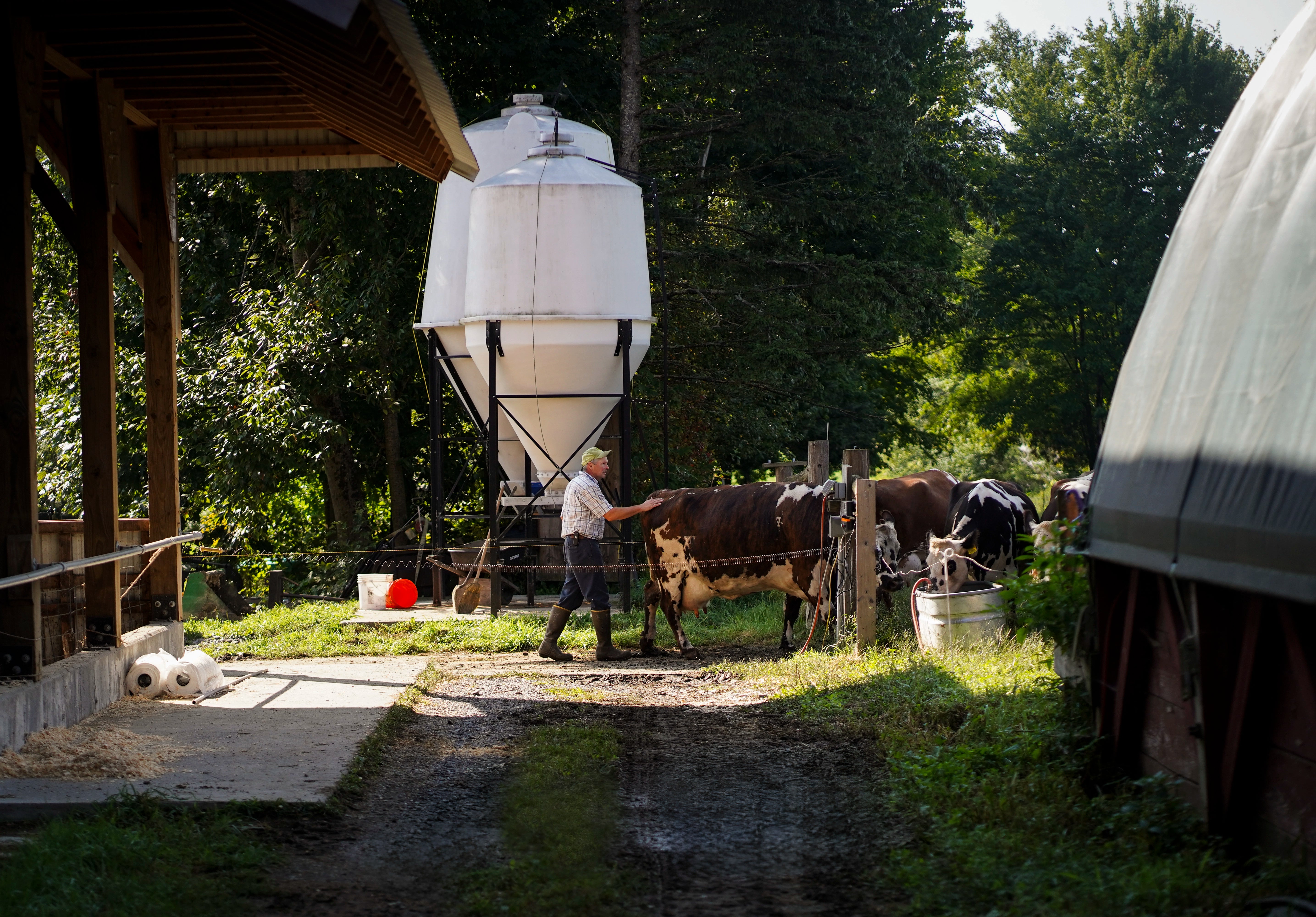 Farm And Farmstead Creamery