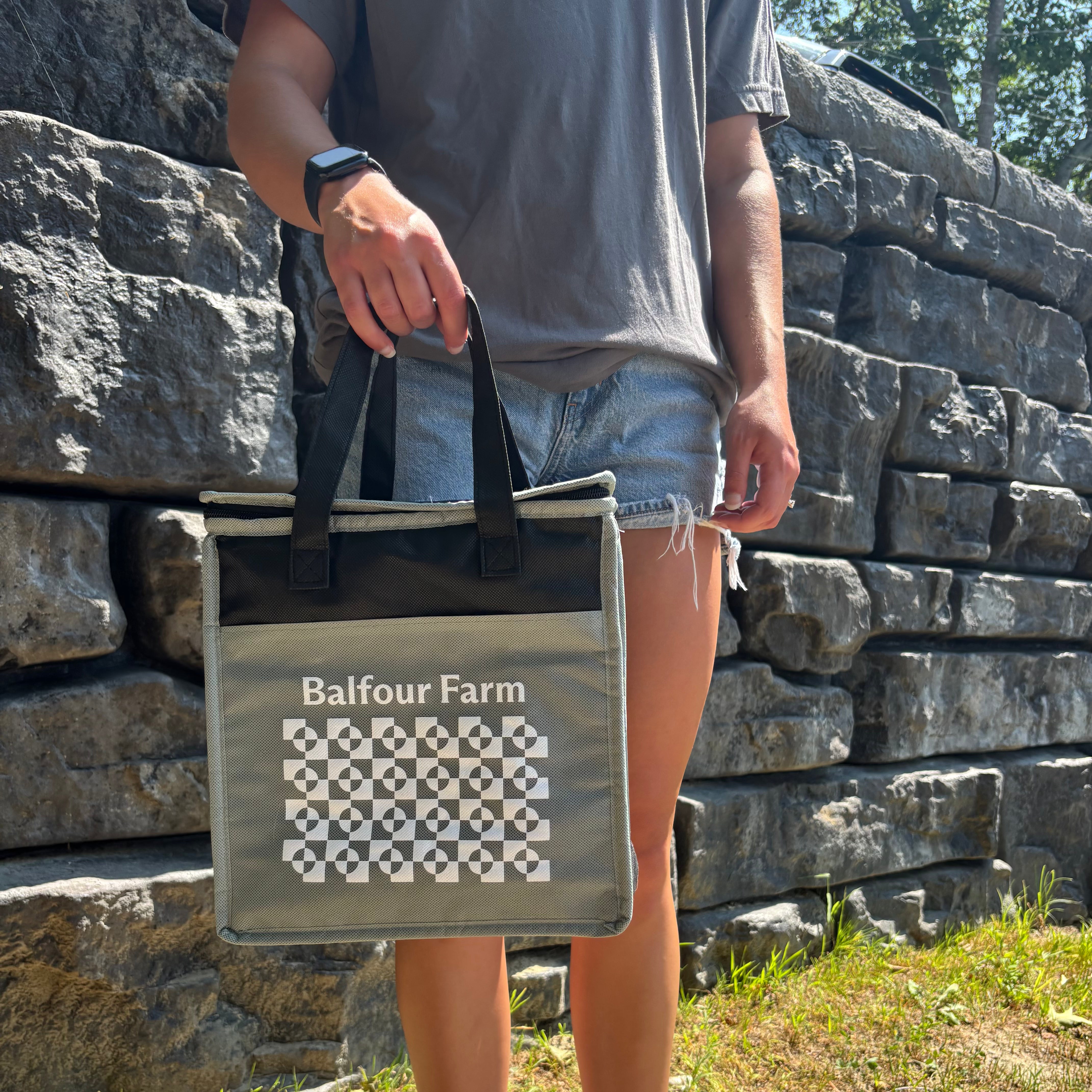 Insulated Bag