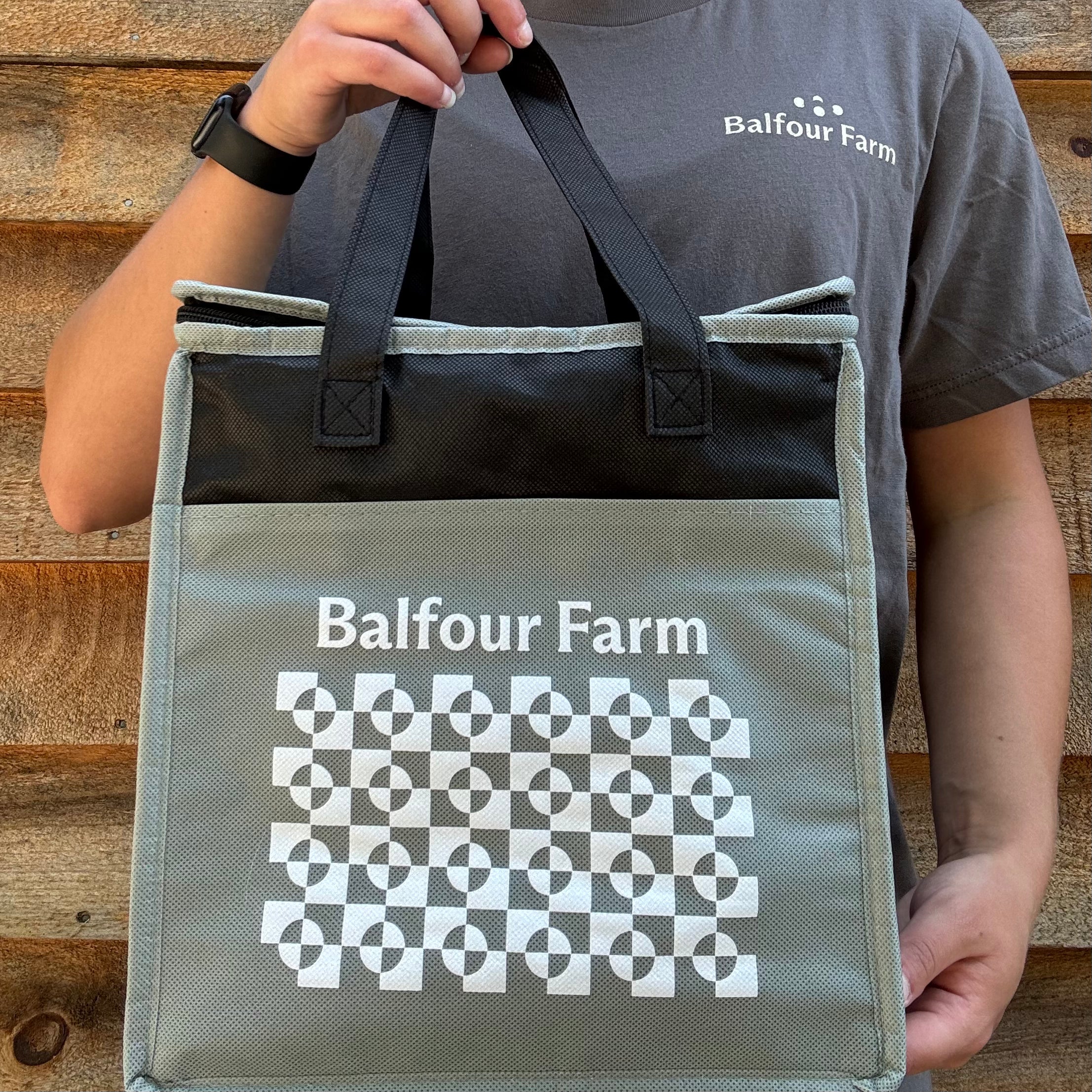 Insulated Bag