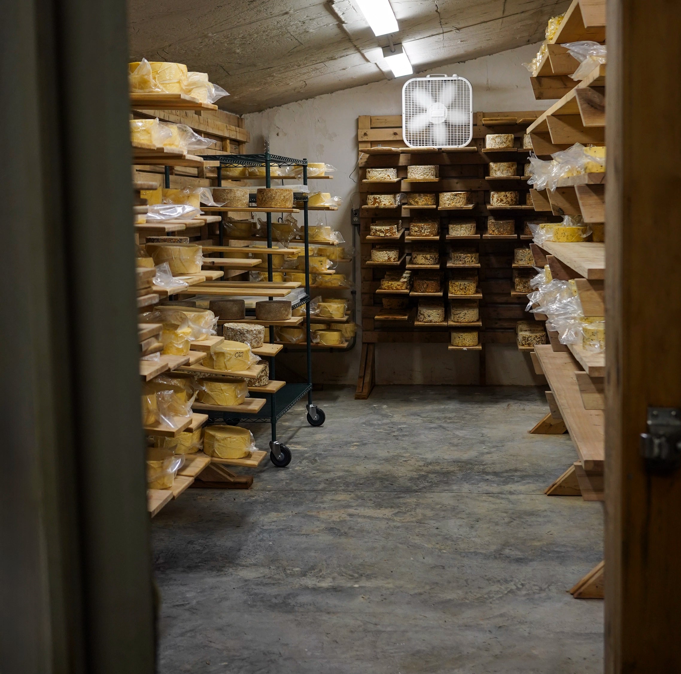 Aging The Cheese