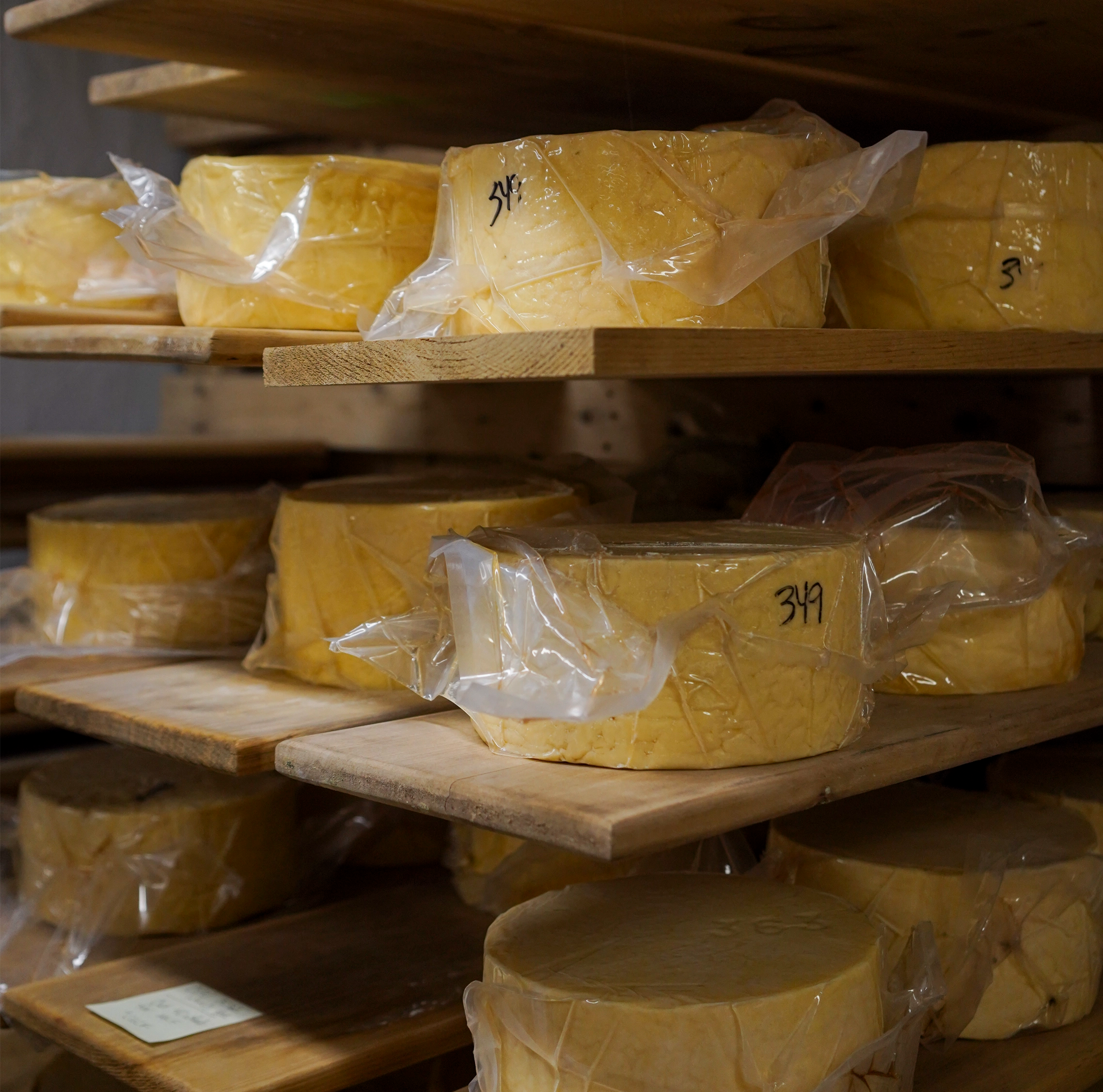 Aging The Cheese