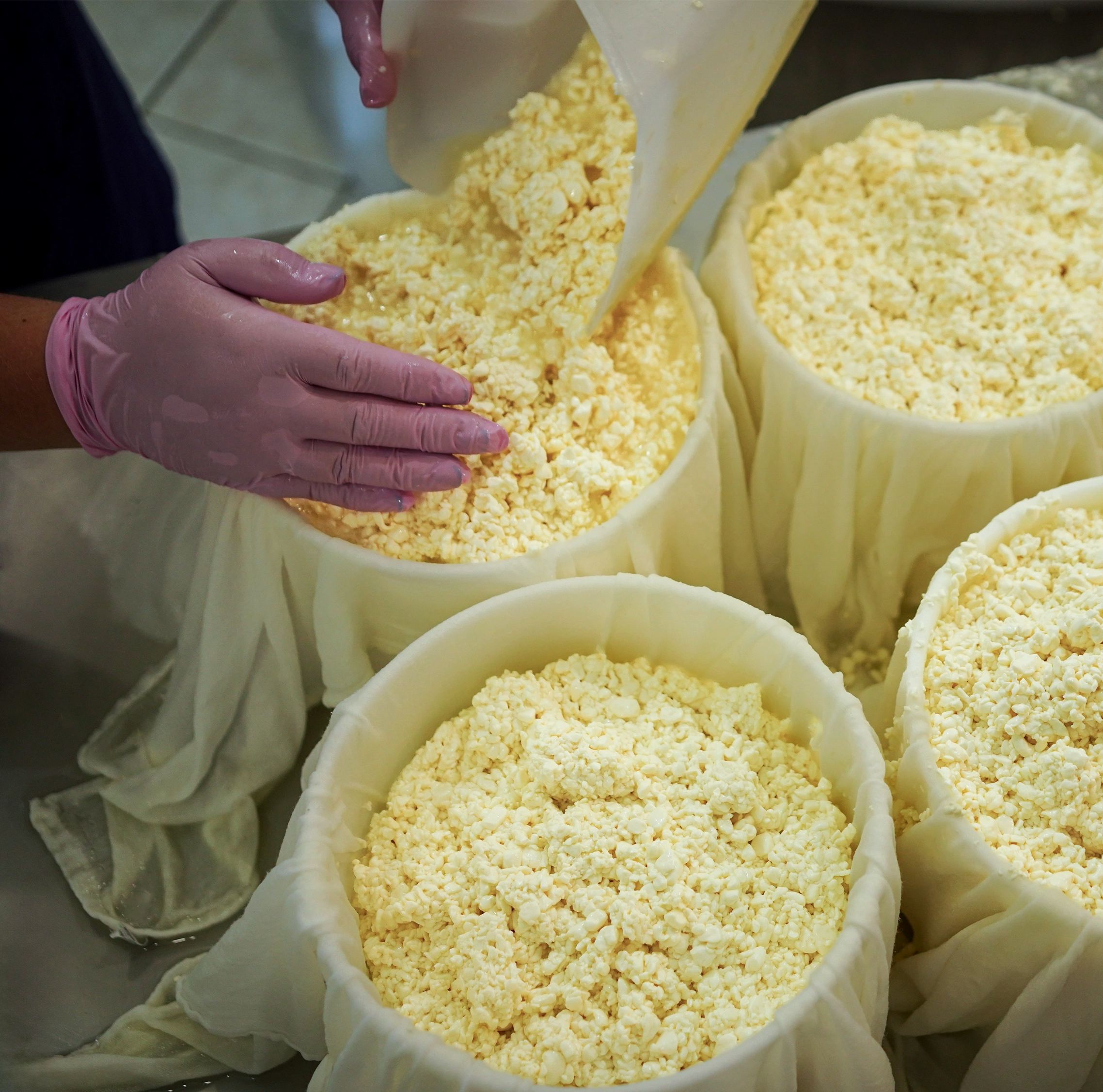 Processing The Milk